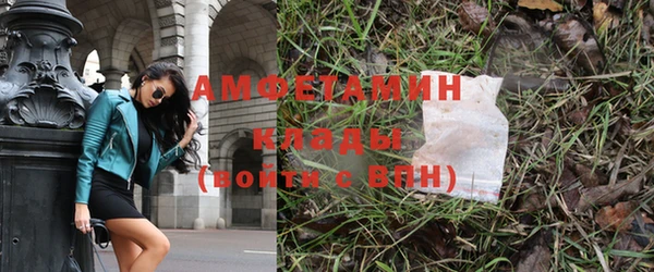 гашик Балахна